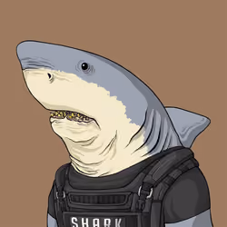 Justice Shark #7772