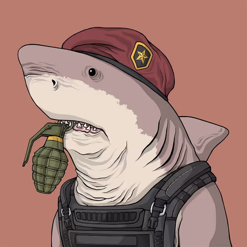 Sharkoutlawsquad