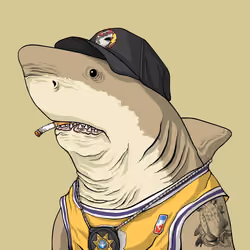 Justice Shark #6837