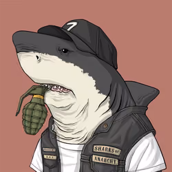 Outlaw Shark #5243