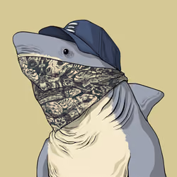 Outlaw Shark #4009