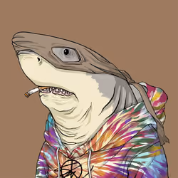 Outlaw Shark #7556