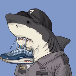 Justice Shark #7734