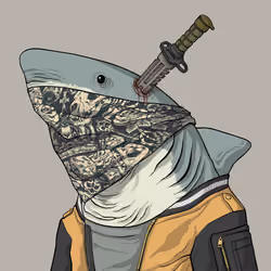 Outlaw Shark #7674