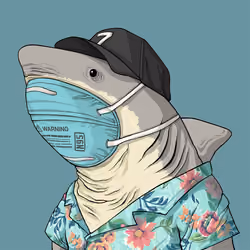 Outlaw Shark #6119