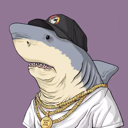 Outlaw Shark #471