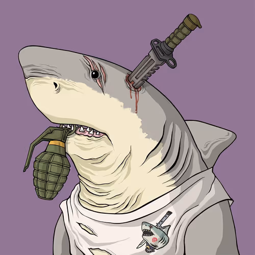 Outlaw Shark #4904