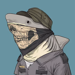 Justice Shark #1118