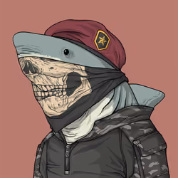Justice Shark #1640