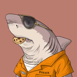 Outlaw Shark #3476