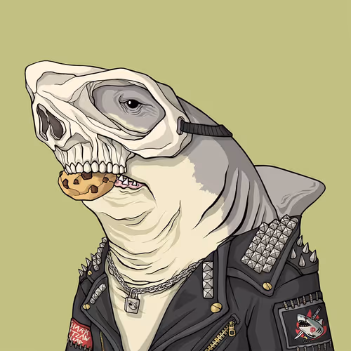 Outlaw Shark #1656
