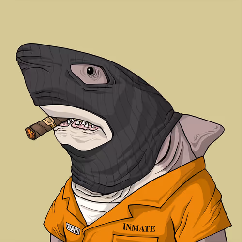 Outlaw Shark #845
