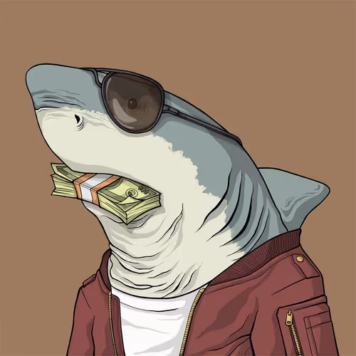 Outlaw Shark #7765