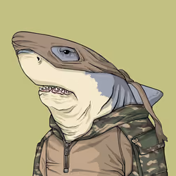 Justice Shark #4435
