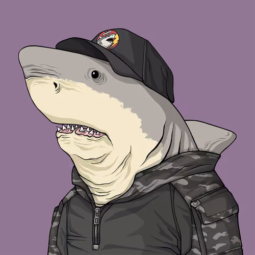 Justice Shark #3231
