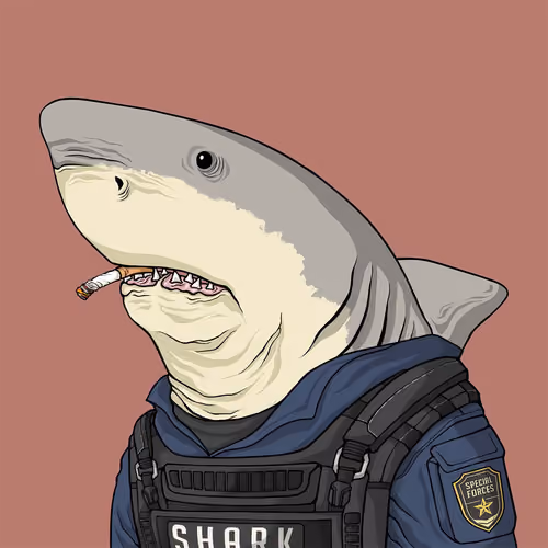 Justice Shark #1716