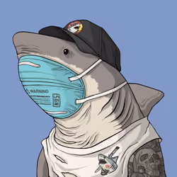 Outlaw Shark #3457