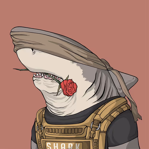 Sharkoutlawsquad