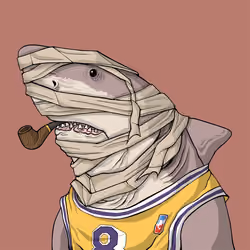 Outlaw Shark #396