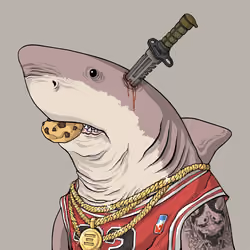 Outlaw Shark #1444