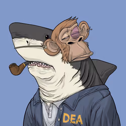 Justice Shark #3604