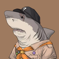 Justice Shark #3853