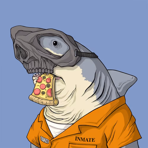 Outlaw Shark #2154