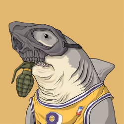 Outlaw Shark #7308