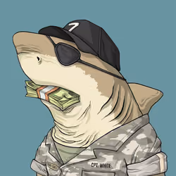 Justice Shark #2495