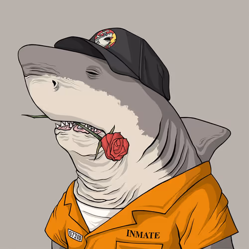 Sharkoutlawsquad