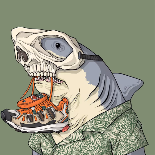 Sharkoutlawsquad
