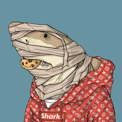 Outlaw Shark #6162