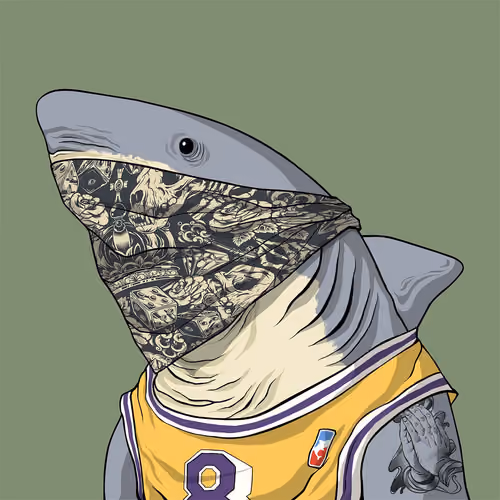 Outlaw Shark #1561