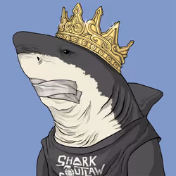Outlaw Shark #2995