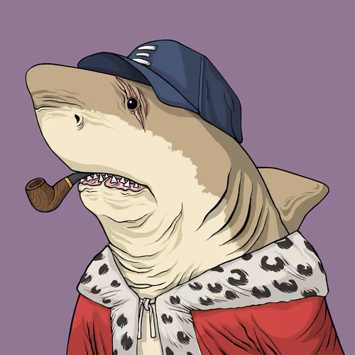 Outlaw Shark #7464