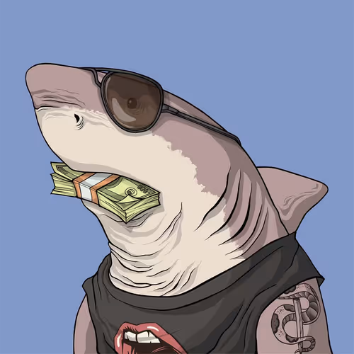 Sharkoutlawsquad