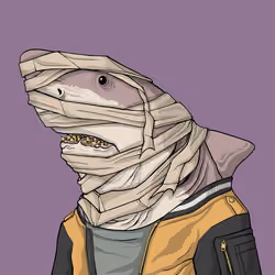 Outlaw Shark #2799
