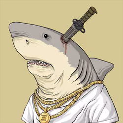 Outlaw Shark #528