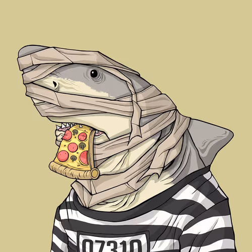 Sharkoutlawsquad