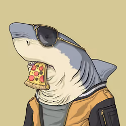 Outlaw Shark #6607