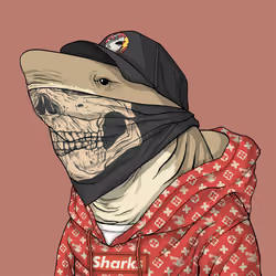 Outlaw Shark #7715