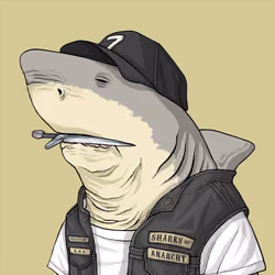 Outlaw Shark #2747