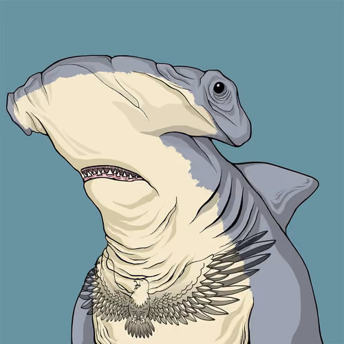 Outlaw Shark #64