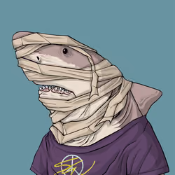 Outlaw Shark #4565