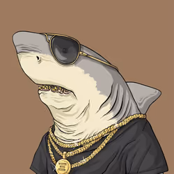 Outlaw Shark #144