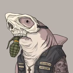 Outlaw Shark #4137