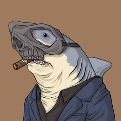 Outlaw Shark #384