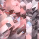 81