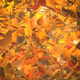 Tectonics #062