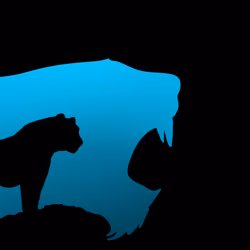 Solitary tiger